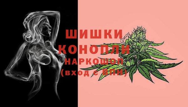твердый Ладушкин