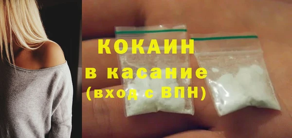 твердый Ладушкин