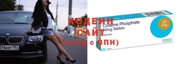 твердый Ладушкин