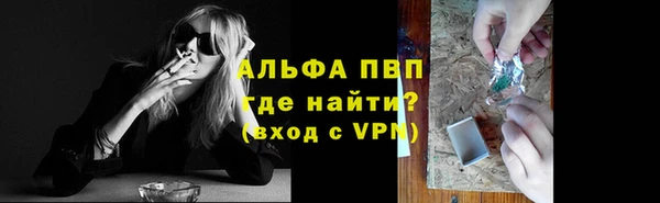 твердый Ладушкин