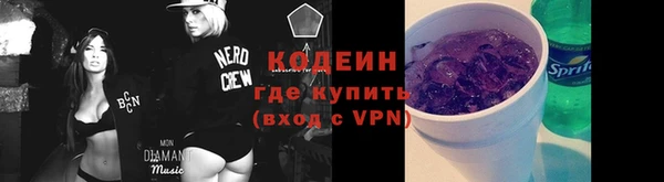 твердый Ладушкин