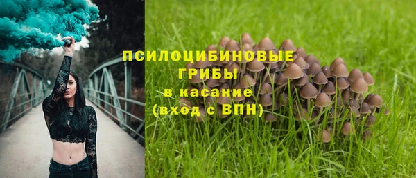 круглые Лиски