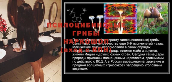 каннабис Лабытнанги