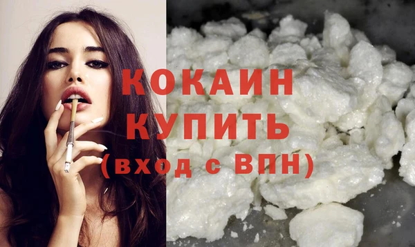 твердый Ладушкин