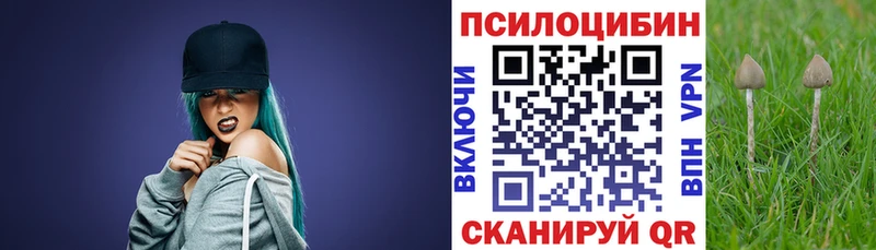 Псилоцибиновые грибы MAGIC MUSHROOMS  KRAKEN как зайти  Красково 